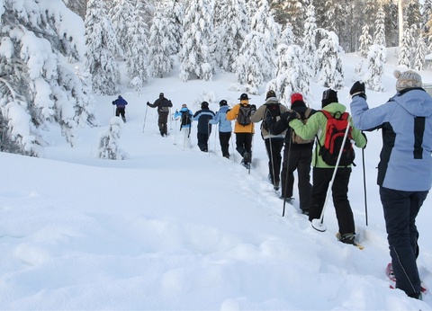Séjour liberté en Laponie - Scandic - 8