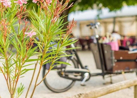 Camping le Trel, 3* - 17