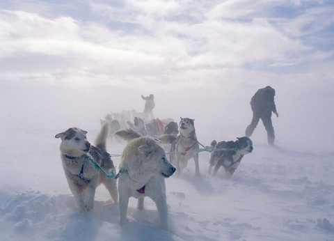 Circuit Magie Arctique - De Tromso A Tromso - 2