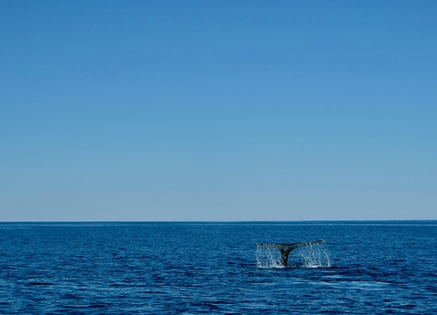 City Break 4 nuits - Découvertes boréales by Ôvoyages - 9