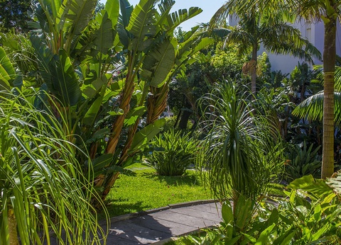 TUI Sélection Hôtel Dorisol Buganvilia - Choix Flex *** - 9