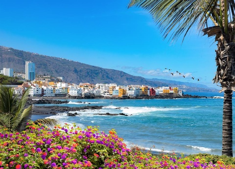 Hôtel Coral Teide Mar Apartments 3* - 12