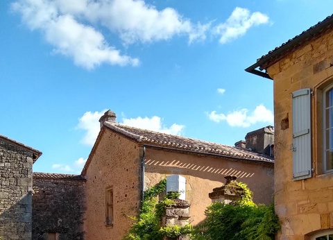 Camping Moulin de David 4* - 102