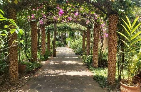 Asha Boutique Hotel - 7