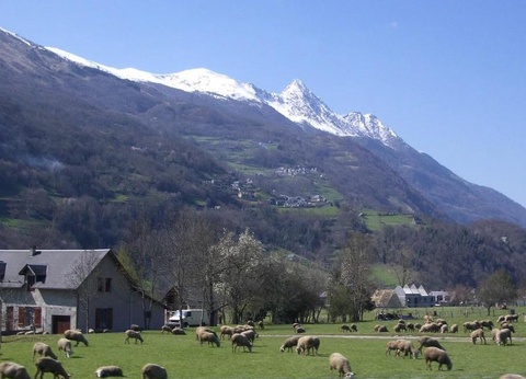 Camping Sites et Paysages - Pyrénévasion, 4* - 36