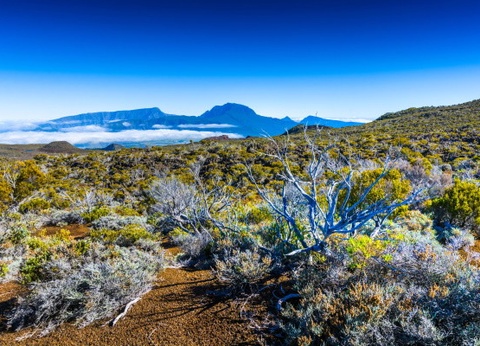 Circuit Couleurs de La Réunion - 10
