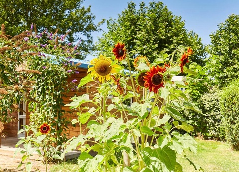 Camping La Grand Métairie - Camping Paradis, 4* - 34