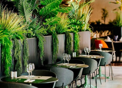 Hôtel R2 Rio Calma & Spa 4* By Ôvoyages - 7