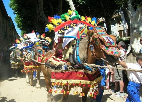 Camping Les Micocouliers 3* - 24