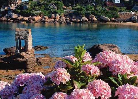 Camping West, 3* - 20