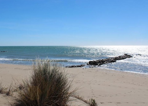 Camping Eden, 5* - 27