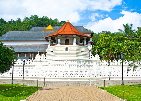 Combiné circuit Escapade Ceylanaise 4* et Ôclub Experience Pandanus Beach Resort et Spa 5* - 6