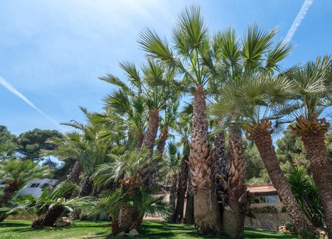 Camping Estival Torre de la Mora, 5* - 49