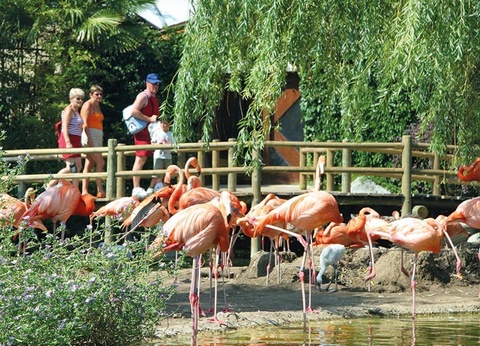 Camping Les Catalpas, 3* - 15