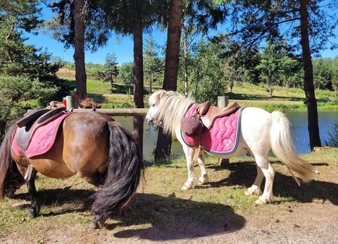 Camping La Chanterelle, 3* - 25