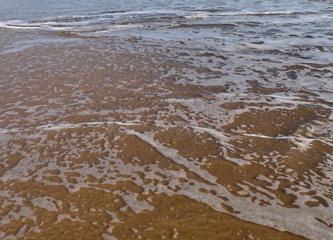 Camping Ushuaïa Villages La Conge, 3* - 35