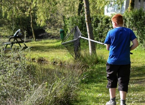 Camping Paradis - Domaine de Bellevue, 4* - 32