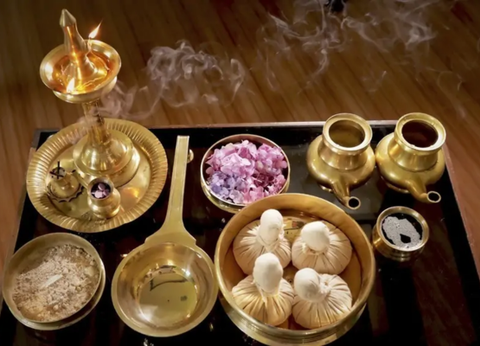 Séjours Ayurveda - Shinshiva Ayurvedashram - 9