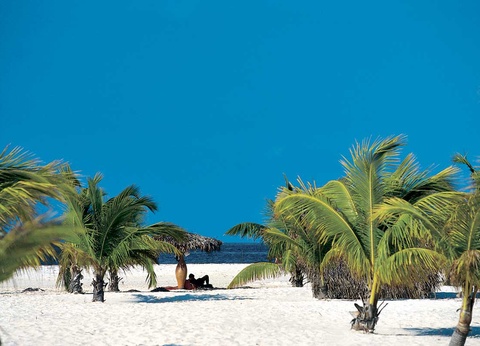 Circuit Découverte et Détente Parfums de Cuba - 15