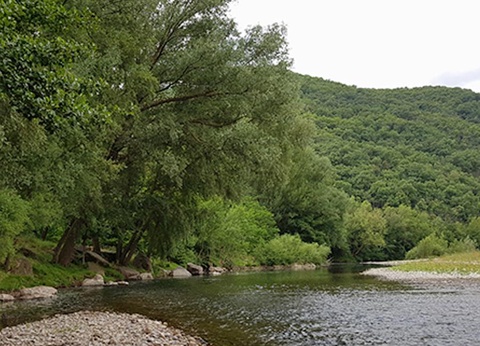 Camping Domaine de Gatinié, 2* - 10