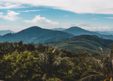 Combiné Krabi 4* et Phuket 4* - 9