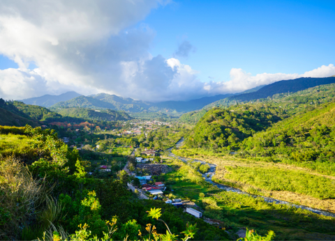 Circuit Panama, Couleur Café - 37