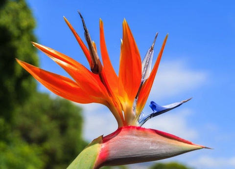 Hôtel Dom Pedro Garajau Hôtel 3* - 8