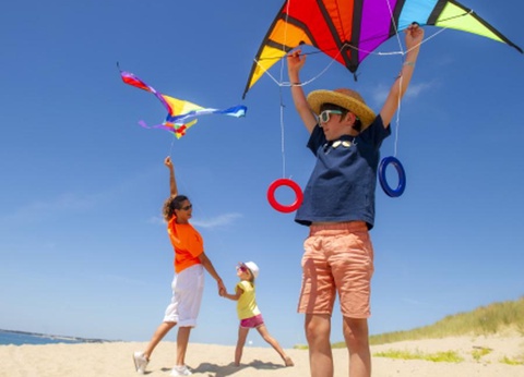 Camping les Chardons Bleus de la Turballe, 4* - 22