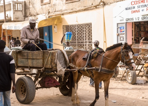 Circuit Privilège Sénégal en privatif - 28