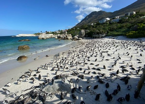 Circuit Immersion en Afrique du Sud - 10