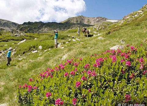 VVF Résidence Les Angles Pyrénées - 10