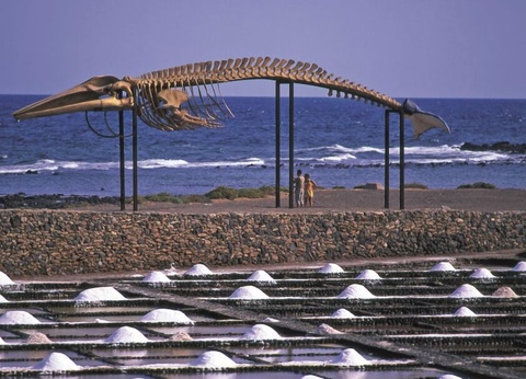 Hôtel Chatur Costa Caleta 3* - 8