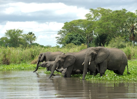 Circuit Trésors d'Afrique australe - 18