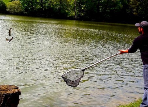 Camping Le Lac aux oiseaux - 14