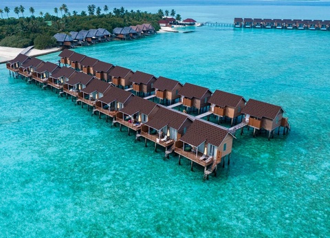 Hôtel Dhigufaru Island Resort 5* - 15