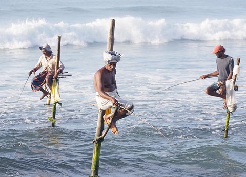 Circuit Sri Lanka, trésors de Ceylan - 5