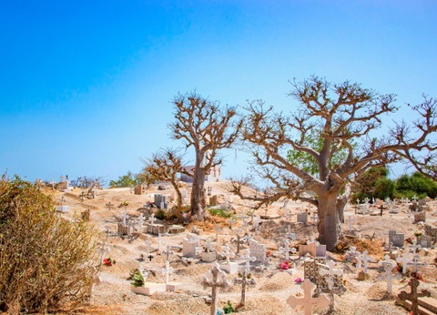 Circuit Beautés du Sénégal et Extension Framissima Palm Beach - 3