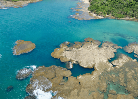 Circuit Joyaux Verts d'Amérique Centrale : du Costa Rica au Panama - 29