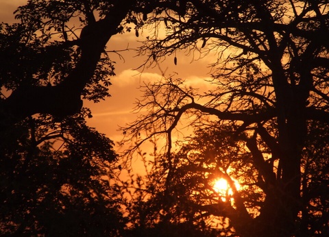 Circuit Privilège Sénégal en privatif - 19