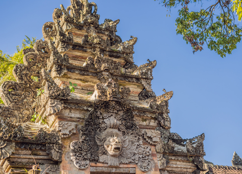 Combiné De Hong Kong à la Jungle de Bali - 12