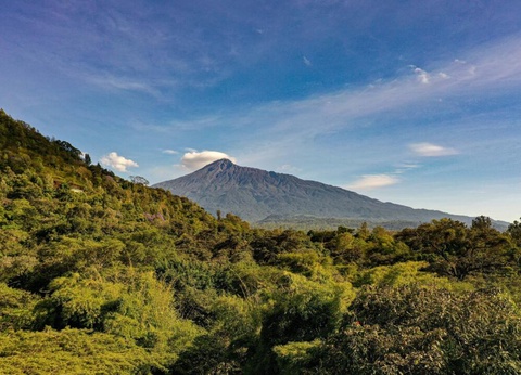 Safari Privatif - Aventure Tanzanienne - 16