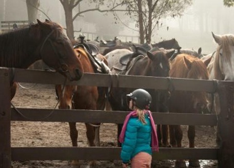 Camping Village de Reneville, 3* - 32