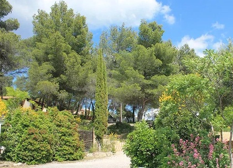 Camping Le Cézanne, 2* - 15