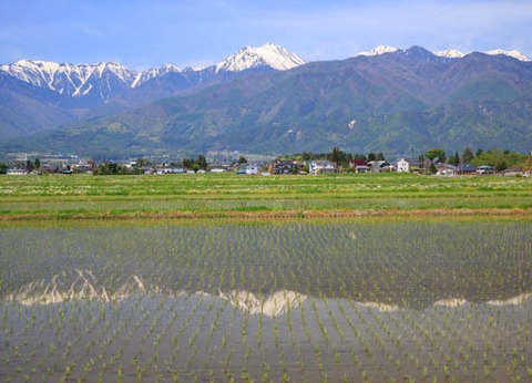 Circuit Traditions et culture du Japon et extension à Nikko - 3