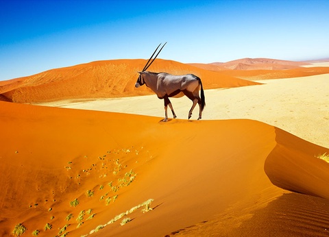Circuit La Namibie, joyau de l'Afrique australe - 3
