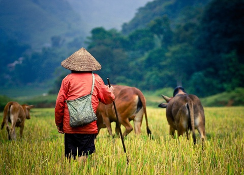 Circuit La route mandarine - 13