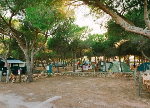 Camping Torre del Porticciolo, 4* - 115