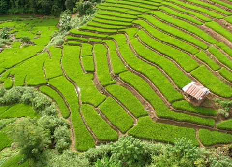 Circuit Richesses et traditions de Thaïlande + extension découverte du sud - 3