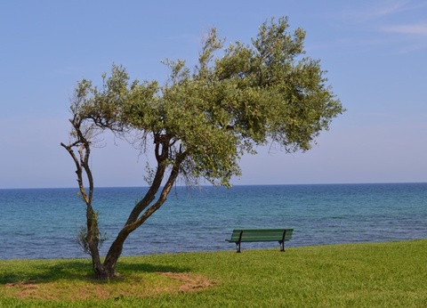 Hôtel Orizonte 3* (sans transport) - 2