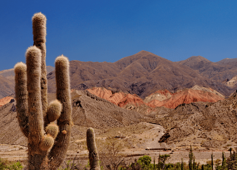 Circuit Contrastes de la Patagonie et du Nord Argentin - 8